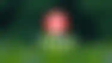 ossBlur