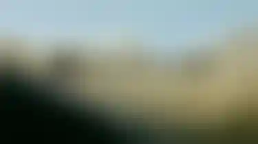 ossBlur