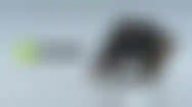 ossBlur