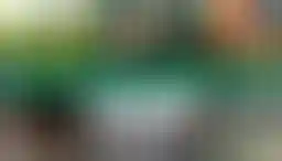 ossBlur